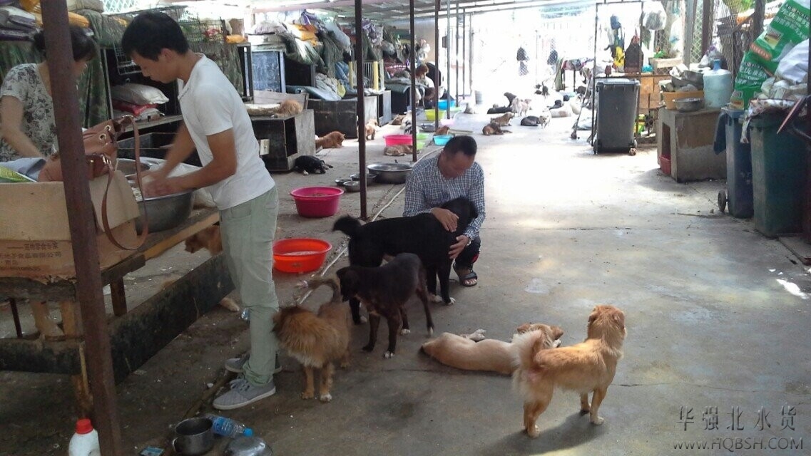 QQ图片20140815135325.jpg